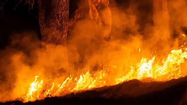Morocco fights forest fires in northern, central regions