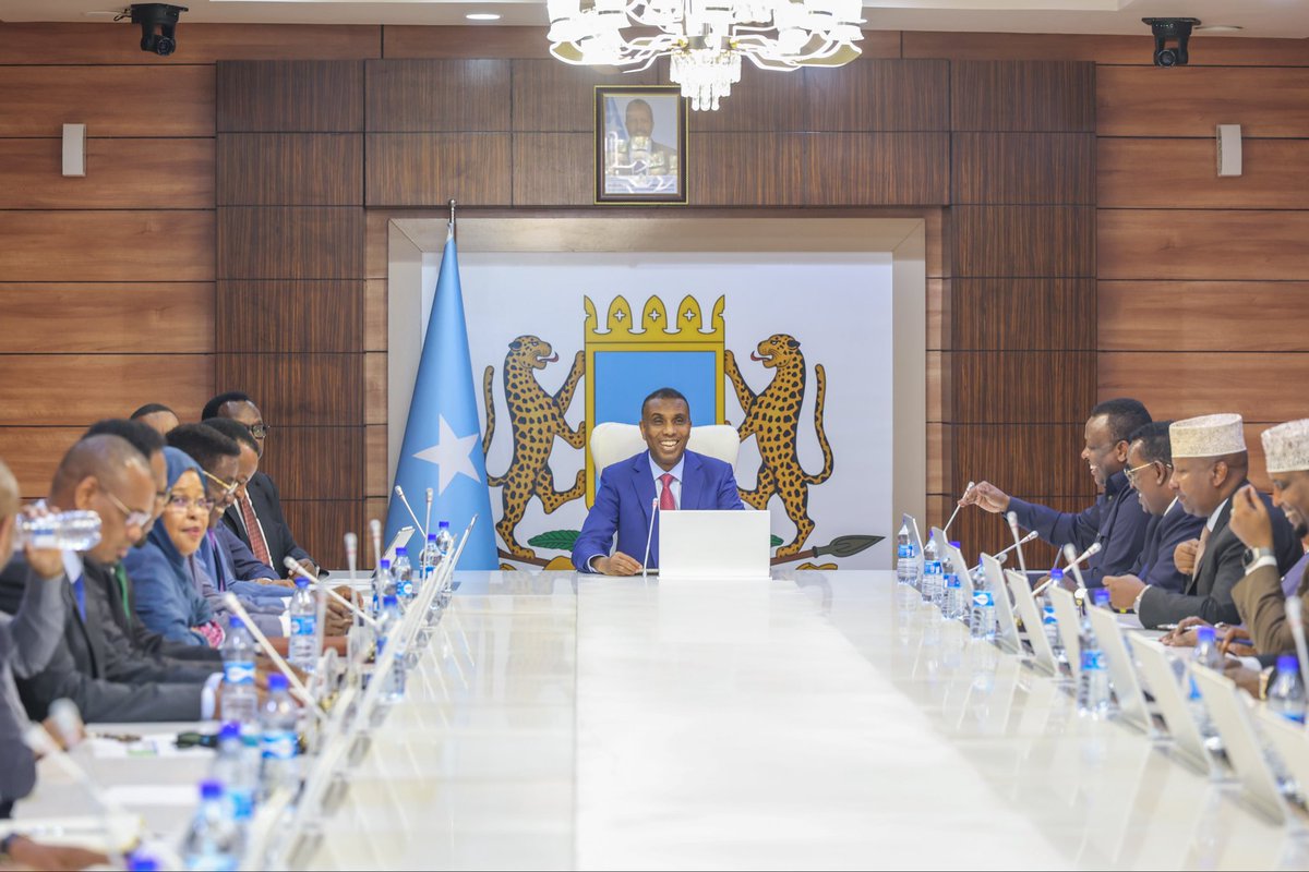 Somalia Approves Strategic Maritime Cooperation Agreement with Egypt